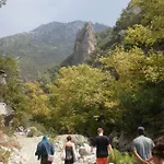 Zeytinada Ve Goezleme * Guneykoy