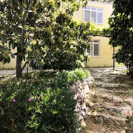 Zeytinada Ve Goezleme 旅馆