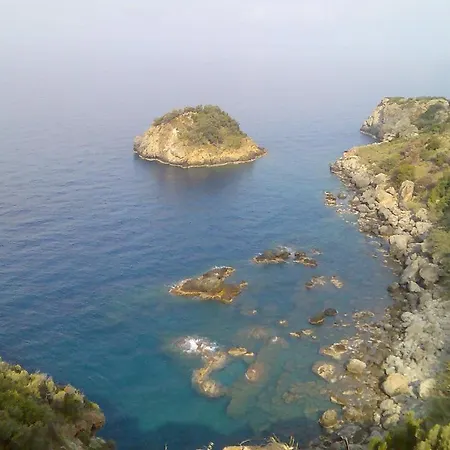 Zeytinada Ve Goezleme *
