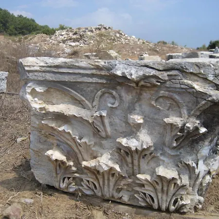 Zeytinada Ve Goezleme 旅馆 *