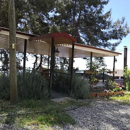 Zeytinada Ve Goezleme Guneykoy