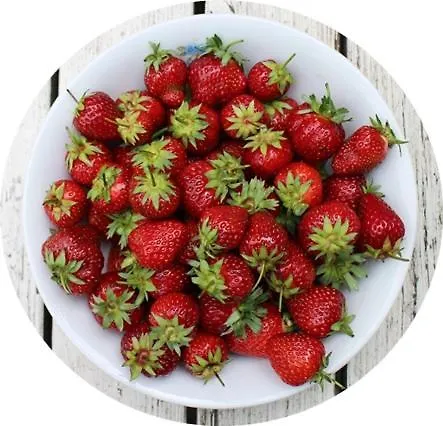 Zeytinada Ve Goezleme Guneykoy