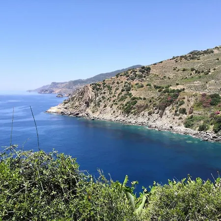 Zeytinada Ve Goezleme *