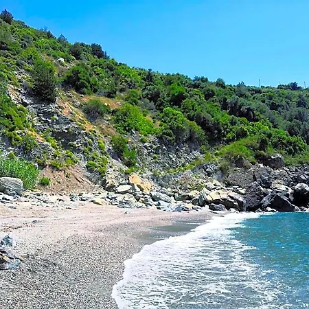 Zeytinada Ve Goezleme Guneykoy