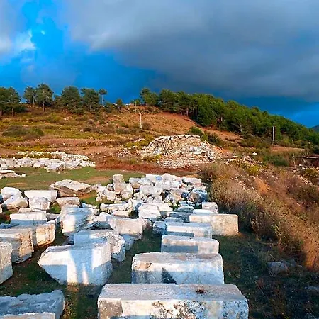 Zeytinada Ve Goezleme Guneykoy