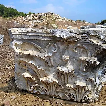 Zeytinada Ve Goezleme * Guneykoy