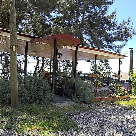 Hostel Zeytinada Ve Goezleme *