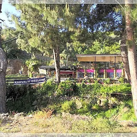 Hostel Zeytinada Ve Goezleme Guneykoy