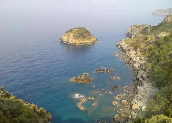Zeytinada Ve Goezleme *